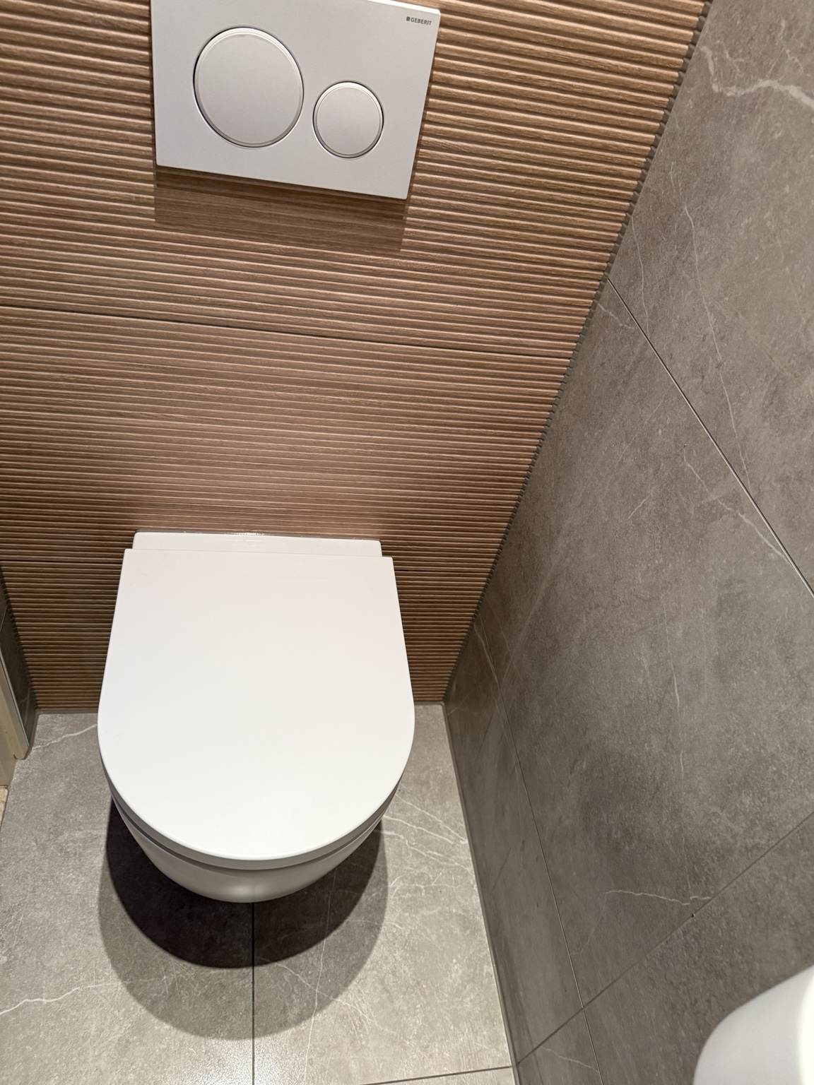 Detail van het toilet en de achterwand